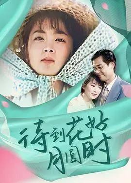 《待到花好月圆时》：一场关于美食与治愈的视觉盛宴，看完直呼血赚！